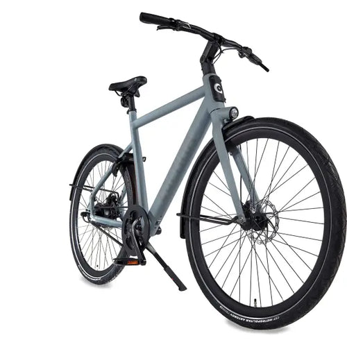 Cortina E-Lett E-Bike Heren 28" 53cm - Mat Squirrel Grijs