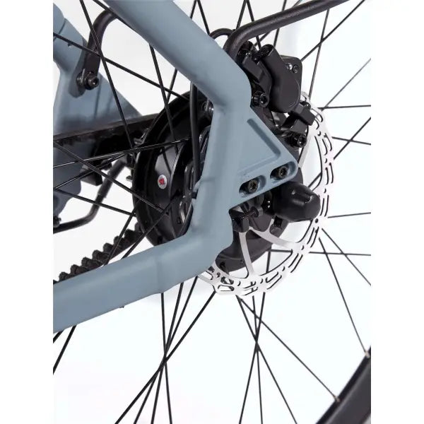 Cortina E-Lett E-Bike Heren 28" 53cm - Mat Squirrel Grijs