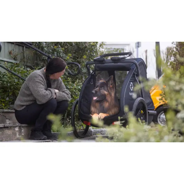 Hamax Pluto L Honden Fietskar 20" - Blauw/Zwart