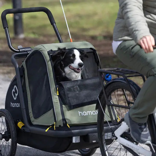 Hamax Pluto M Honden Fietskar 20" - Groen/Zwart