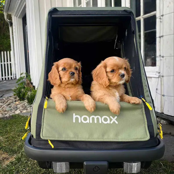 Hamax Pluto M Honden Fietskar 20" - Groen/Zwart