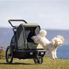 Hamax Pluto M Honden Fietskar 20" - Groen/Zwart
