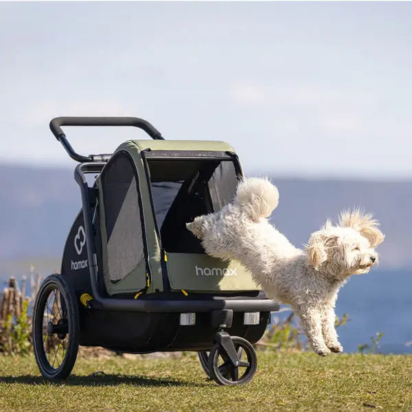 Hamax Pluto M Honden Fietskar 20" - Groen/Zwart